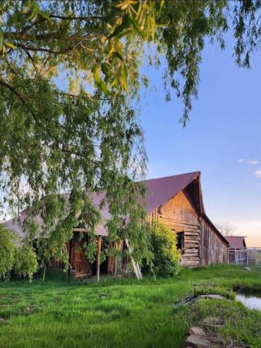 Charming wooden barn exterior surrounded by lush green grass and pond at countryside ranch venue.
