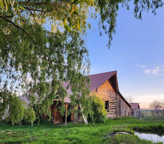 Charming wooden barn exterior surrounded by lush green grass and pond at countryside ranch venue.
