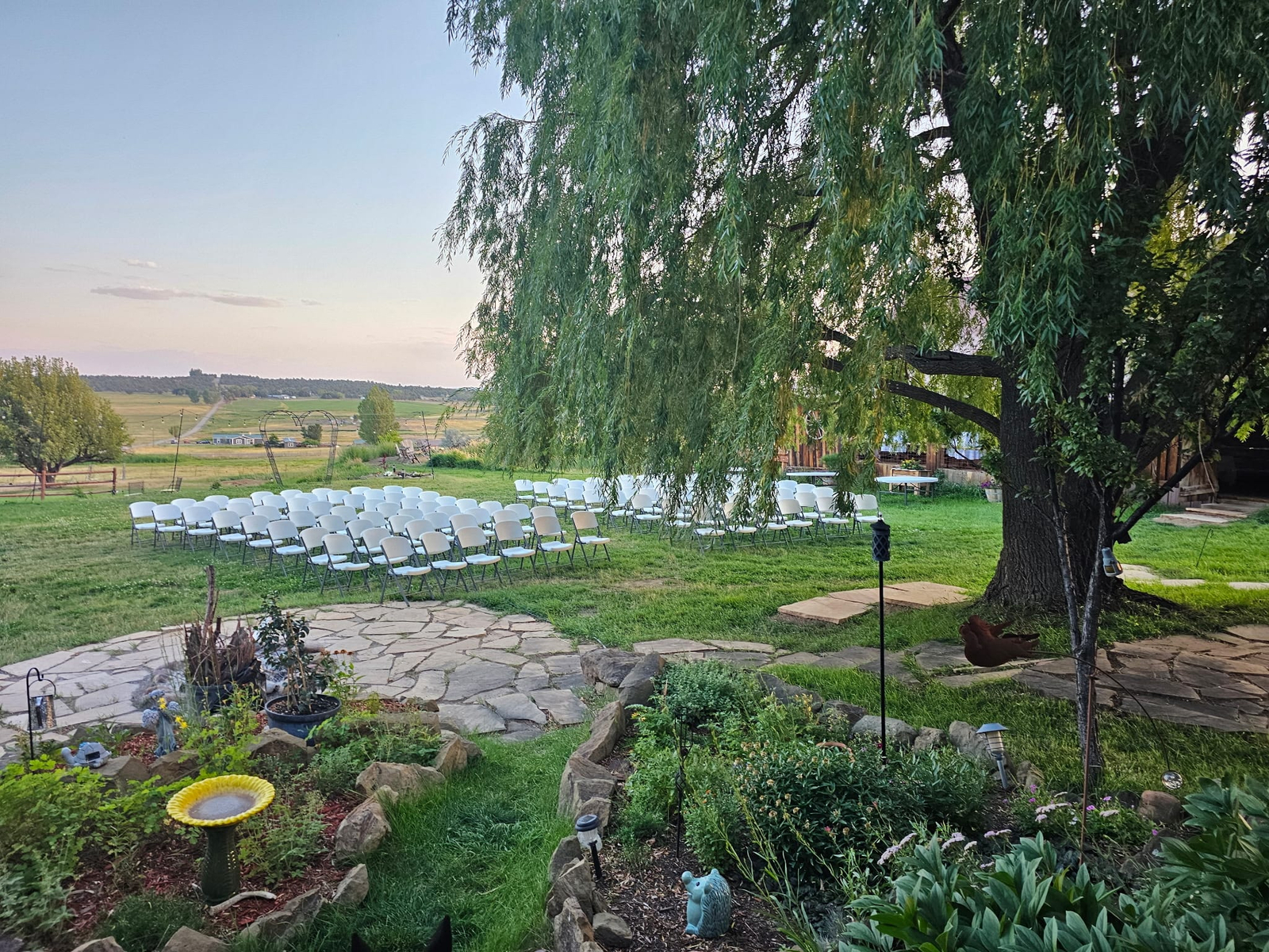 Outdoor wedding ceremony setup with white chairs on green lawn beneath large willow tree at rustic ranch venue.