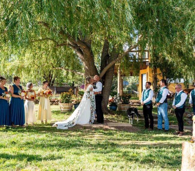 Outdoor wedding ceremony at a rustic Colorado ranch with bride and groom exchanging vows under a large willow tree surrounded by bridal party and guests.