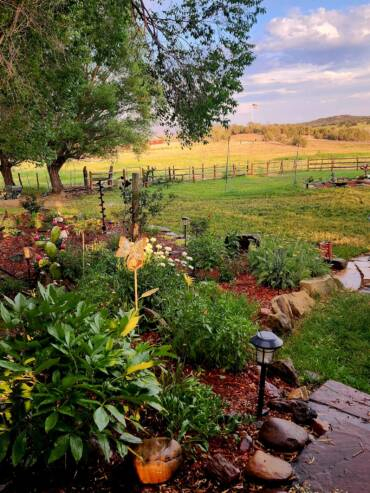 Rustic garden landscape at Three Willows Ranch in Colorado with flowers, trees, and countryside views