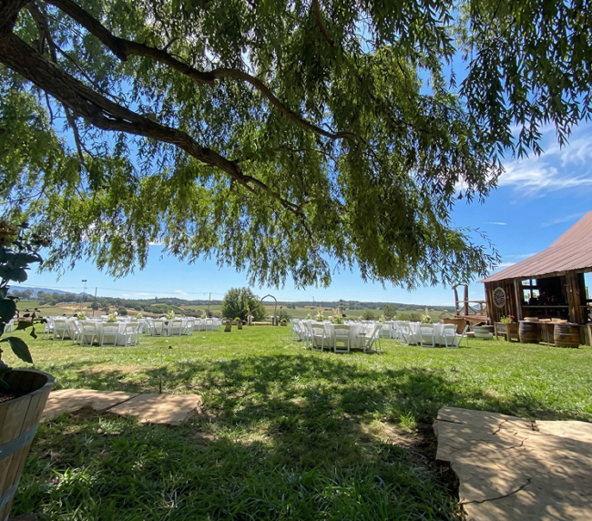 Outdoor ranch ceremony setup with white chairs on a green lawn beneath a large willow tree beside a rustic barn in Colorado countryside.