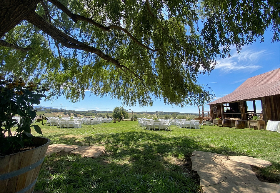 Outdoor ranch ceremony setup with white chairs on a green lawn beneath a large willow tree beside a rustic barn in Colorado countryside.