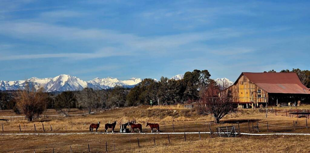 Beautiful ranch at bayfield colorado