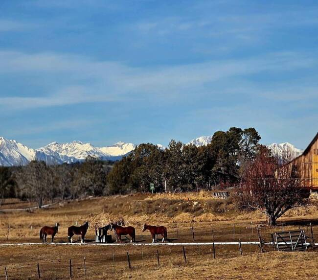 Beautiful ranch at bayfield colorado