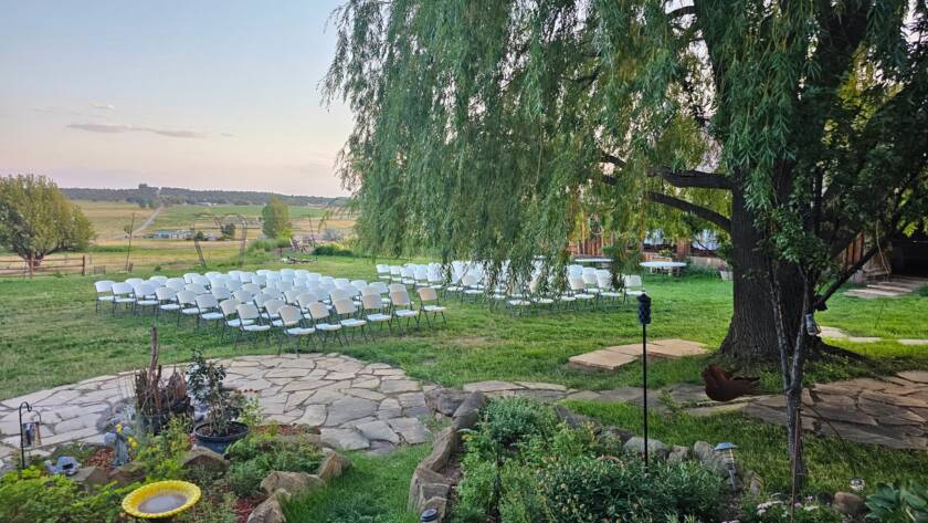 Outdoor wedding ceremony with wiilows tree