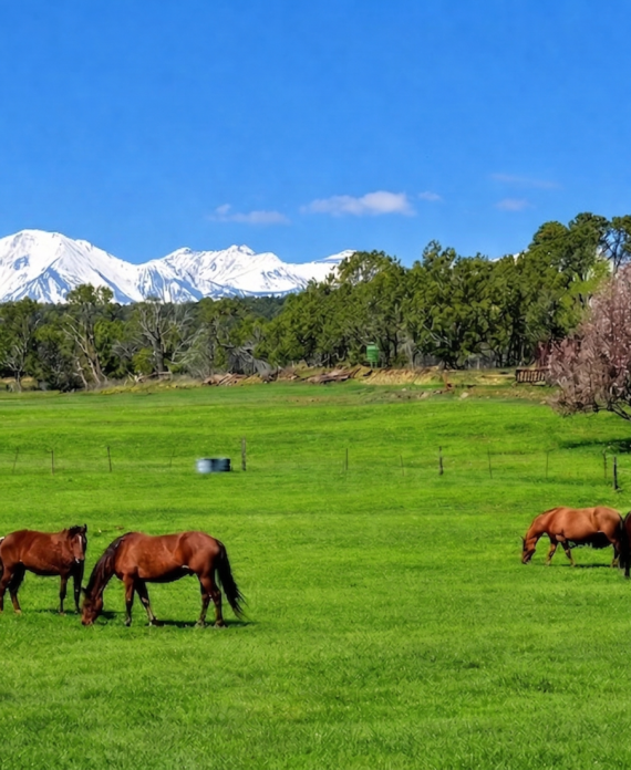 BREATHTAKING MOUNTAIN VIEW