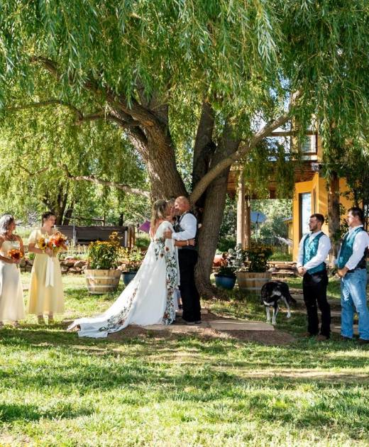 Outdoor wedding ceremony at a rustic Colorado ranch with bride and groom exchanging vows under a large willow tree surrounded by bridal party and guests.